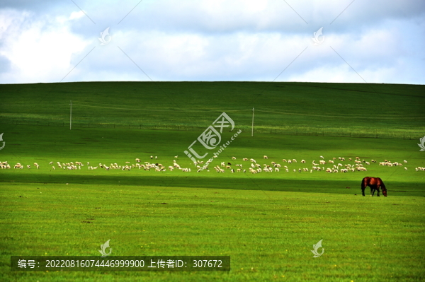 內(nèi)蒙古大草原