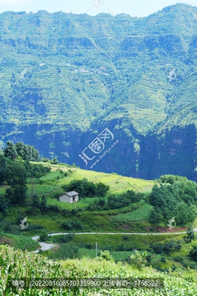 云南大山深處有人家