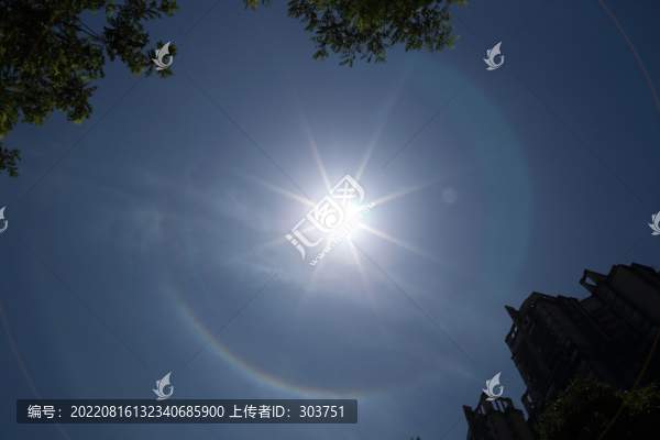 圓虹