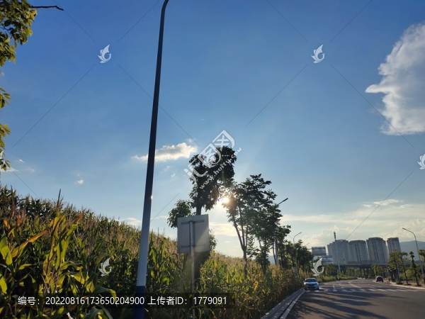 夕陽(yáng)