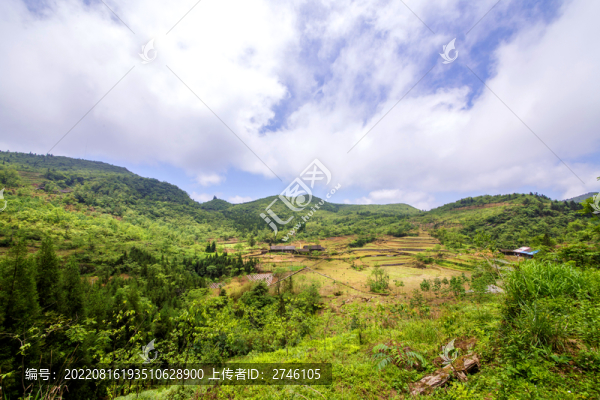 重慶武隆山坡