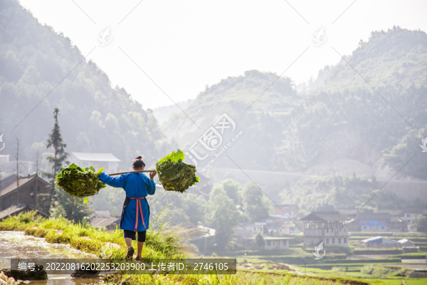 貴州丹寨