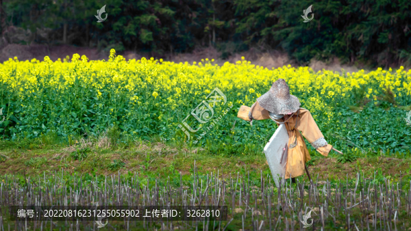 稻草人