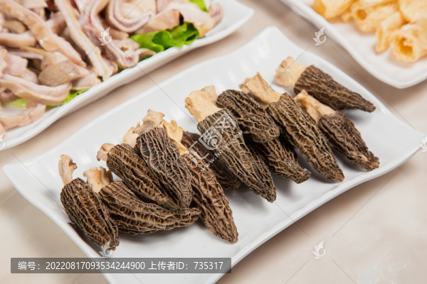 羊肚菌