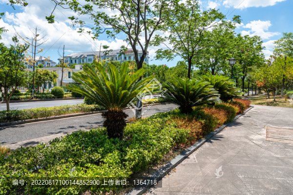 公園綠植