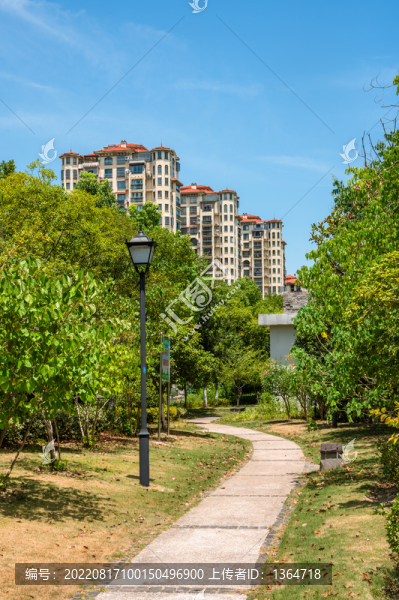 公園綠植