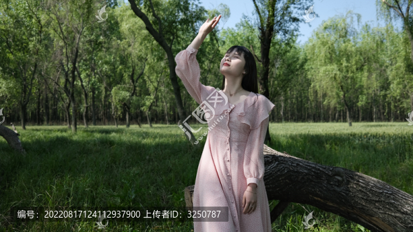 森林女孩
