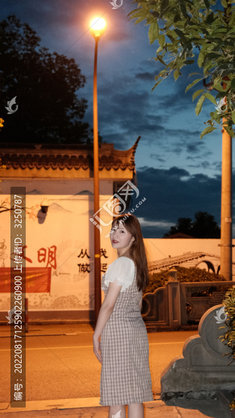 江南夜色女人