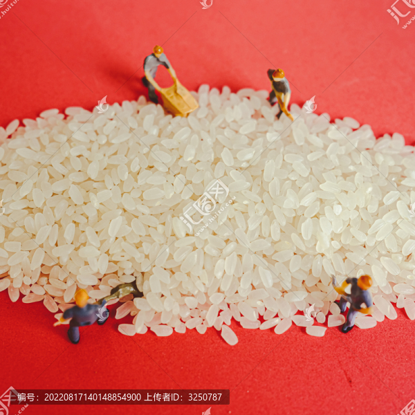 小人國大米