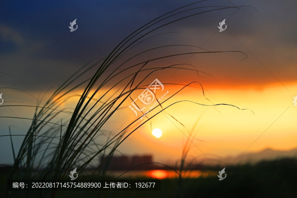 江邊風(fēng)光
