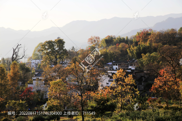 塔川秋天
