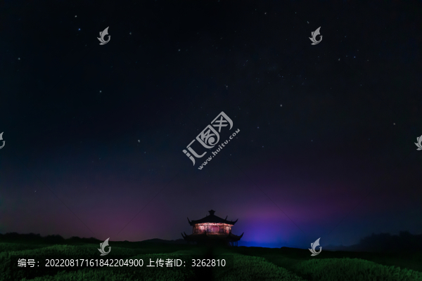 茶園夜色