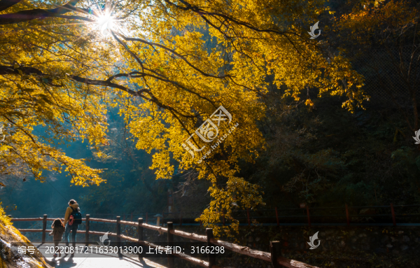 金秋時節(jié)山野燦爛