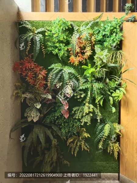 綠植背景墻