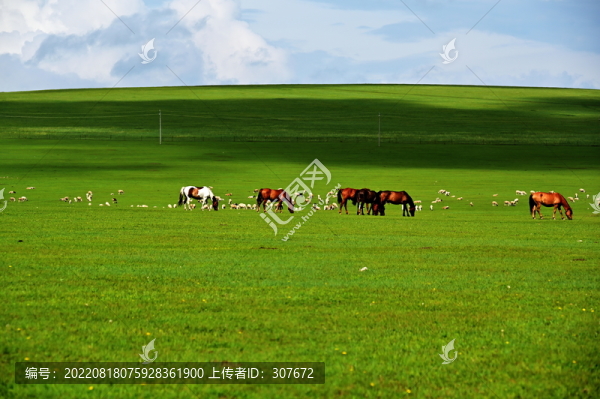 內(nèi)蒙古大草原