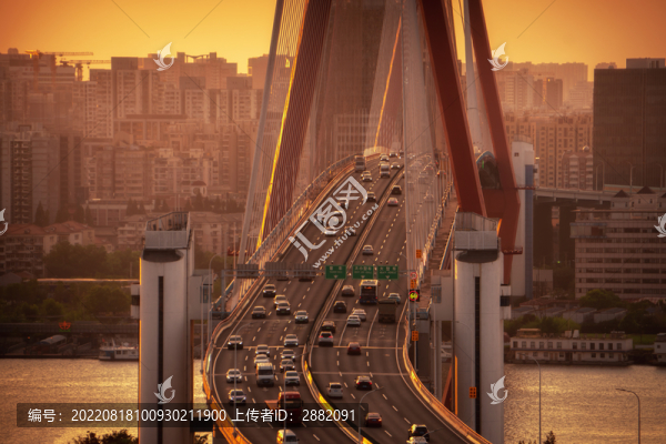 楊浦大橋