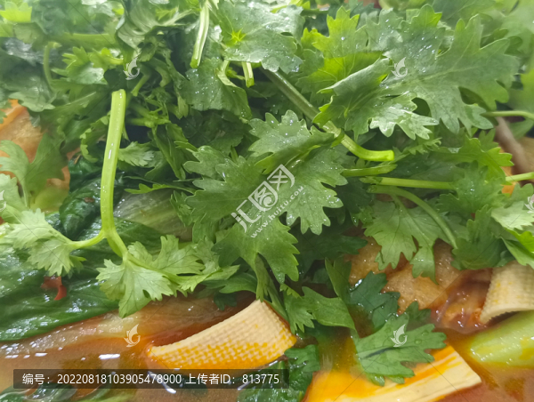 香菜麻辣燙鍋