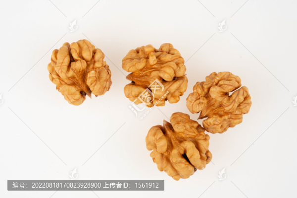 核桃核桃仁