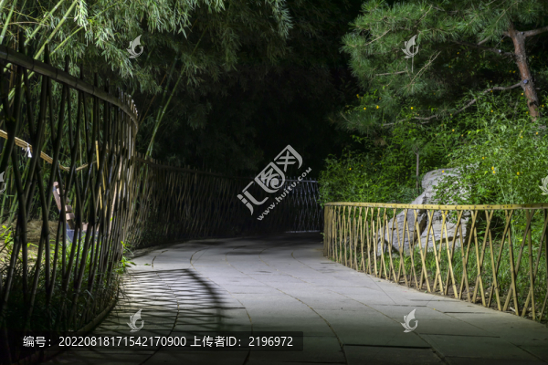 五龍?zhí)豆珗@林蔭路夜色