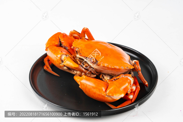 大肉蟹