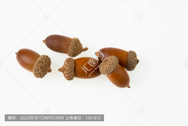 堅果