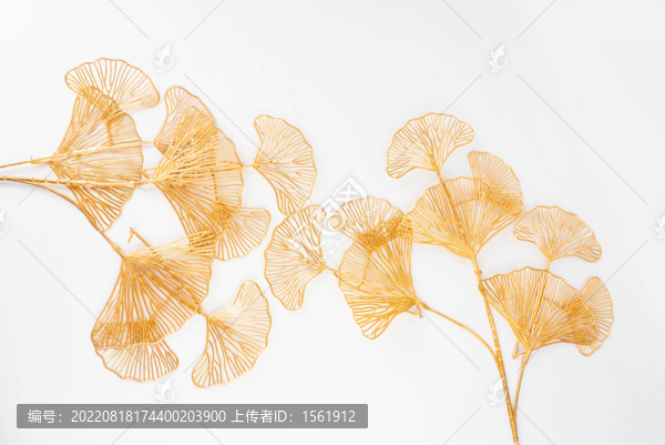 金色銀杏葉