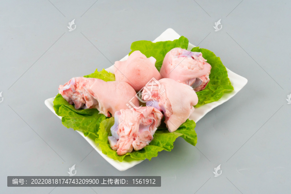 豬蹄
