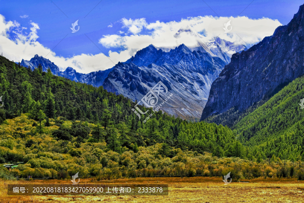 雪山草地