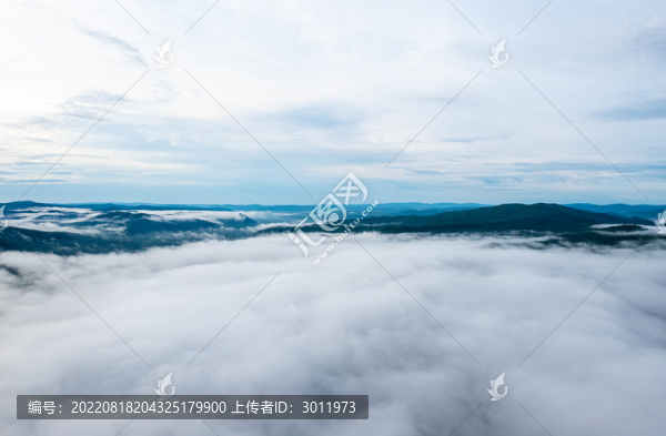 云海森林