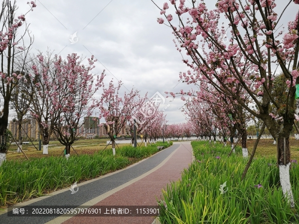 健身步道