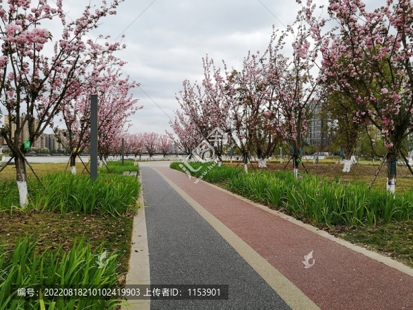 公園綠道