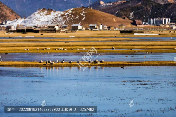 濕地
