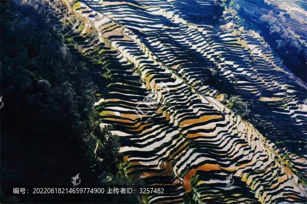 梯田