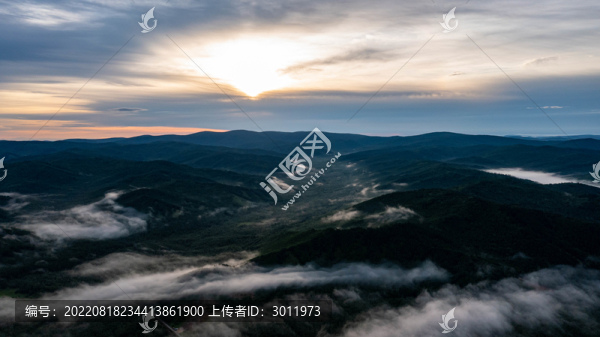 清晨林海云霧