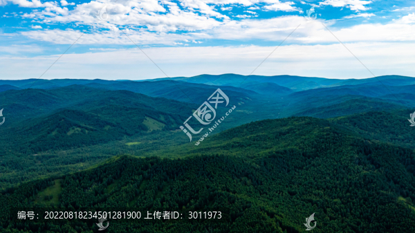 山脈森林