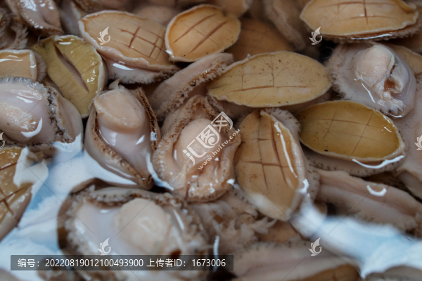 鮑魚
