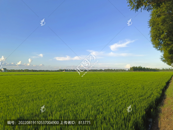 田園生態(tài)種植