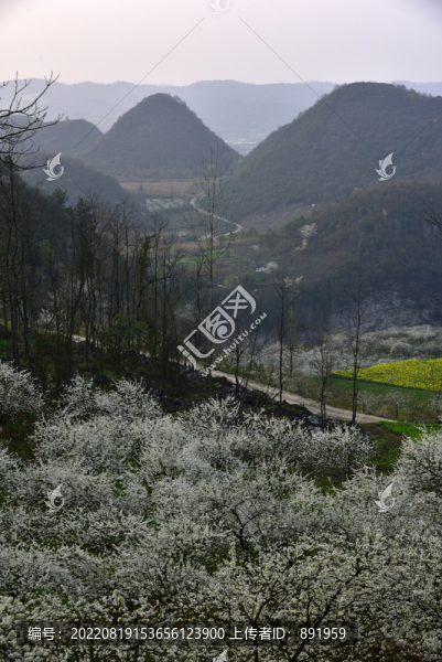 貴州烏當姨媽寨