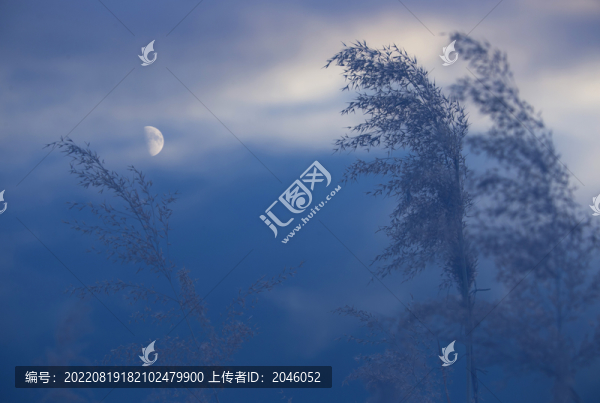 詩意月亮
