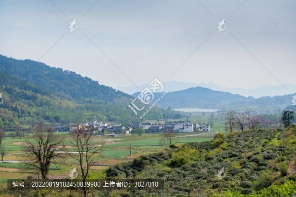 塔川村