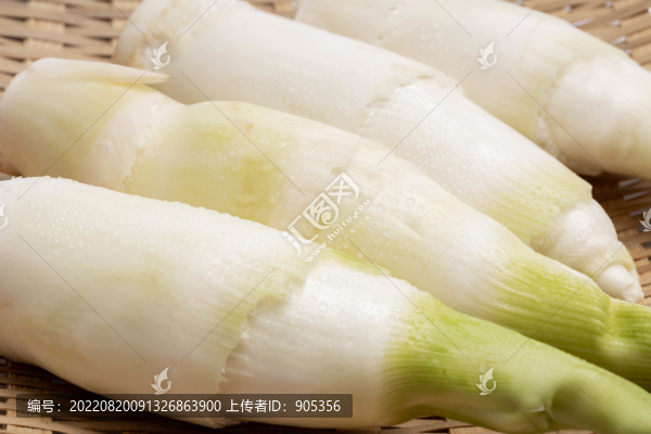 茭白