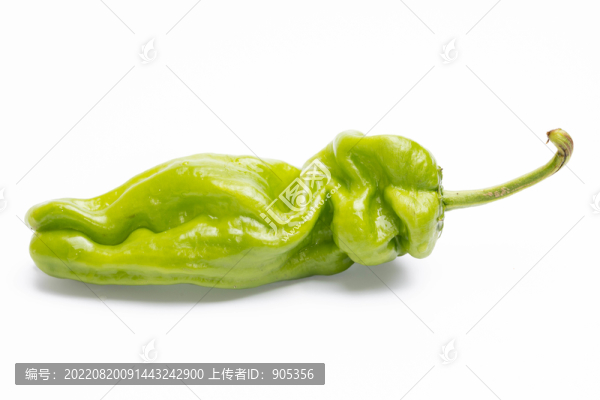 青椒