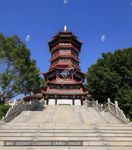 廈門市園博苑杏林閣
