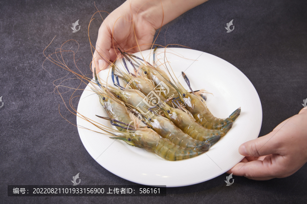 鮮蝦