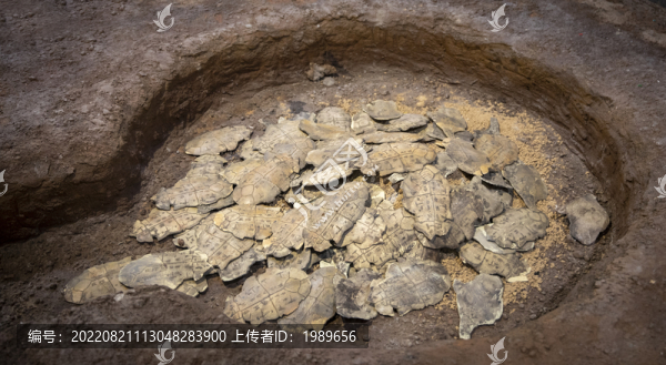 河南安陽(yáng)殷墟甲骨文