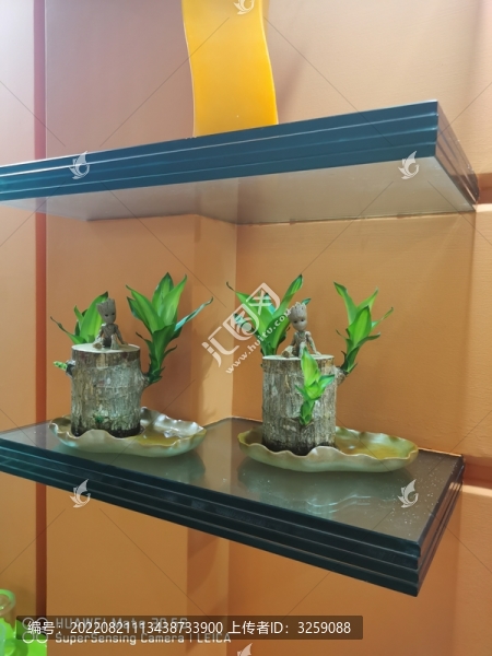 巴西木手機(jī)拍