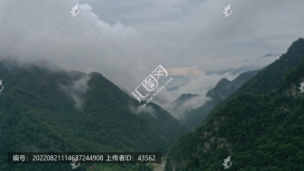 航拍秦嶺山脈森林植被