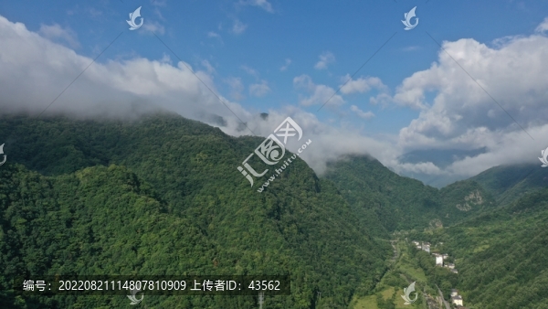 航拍秦嶺山脈云霧繚繞原始森林