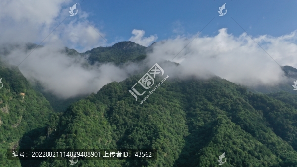 航拍秦嶺山脈云霧繚繞原始森林