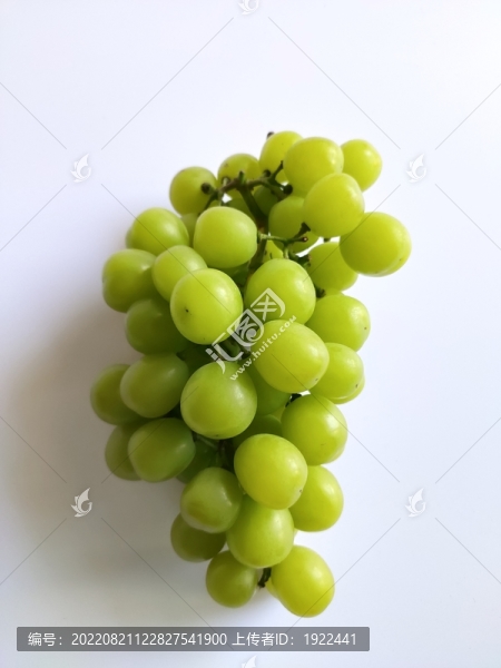 葡萄